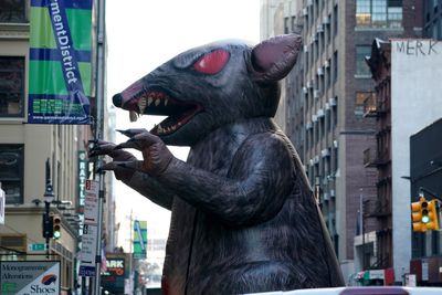 NYC's mayor is declaring war on rats—but it's part of a bigger obsession with New York’s economic status and it could have a lot to do with remote work