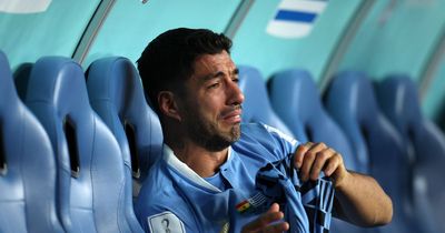 Patrice Evra responds to Luis Suarez's tears as Uruguay are dumped out of World Cup