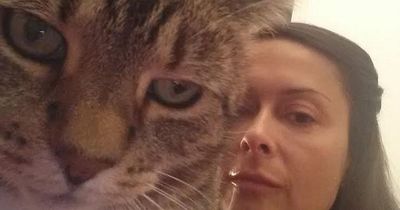 Bristol cat owner tells of grief after pet is hit and killed by Royal Mail van