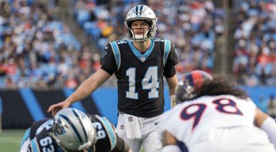 Panthers updated roster heading into Week 13 bye