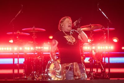 Guns N' Roses sues online gun shop for appropriating name