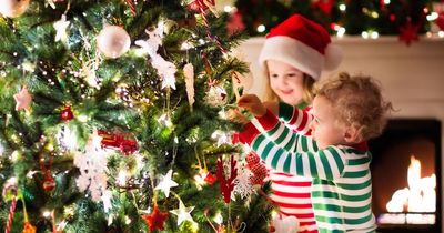 TikTok video warns 'bad things will happen' if you bring Christmas tree home