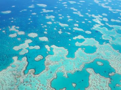 Qld Indigenous rangers win Earthshot prize