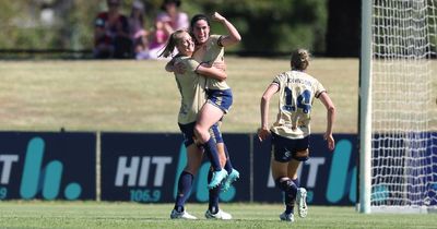 Jets twice come from behind to draw with Perth Glory