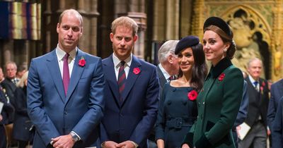 America's new royal war as nation splits between Team Sussex and Team Cambridge