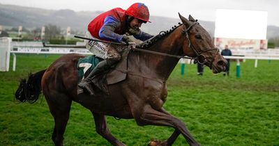 Horse racing betting tips for Fairyhouse on Saturday as Facile Vega makes hurdles bow