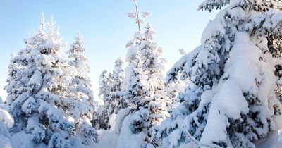 Met Office forecasts exact dates for when snow will hit UK