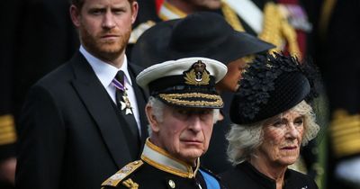 Prince Harry may reach 'point of no return' if he lashes out at Camilla in book - expert
