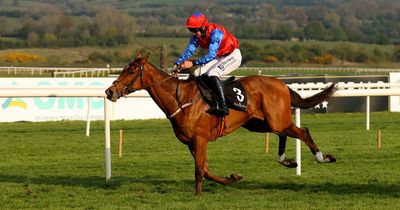 Facile Vega demolishes rivals on eagerly-awaited hurdling debut