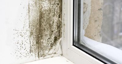 Mrs Hinch fans highlight supermarket staples under £1 to clear moisture and stop mould