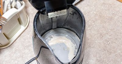 Woman shares 60p hack for deep cleaning kettle that removes all limescale