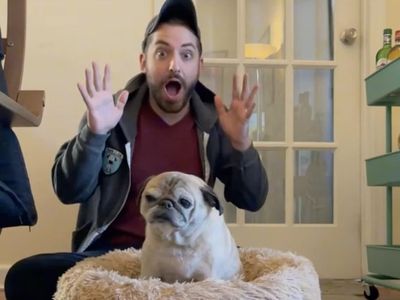 TikTok star Noodle the pug dies at age 14