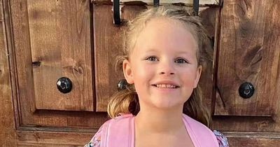 Murder charge FedEx delivery driver 'told police where to find body' of missing girl, 7