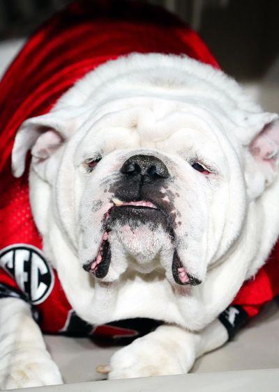 Georgia returns blocked field goal for TD as LSU falls asleep