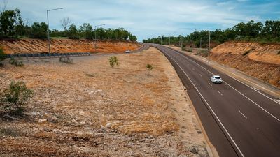 Darwin heat stings as parts of city still without shade trees years after Cyclone Marcus ripped through