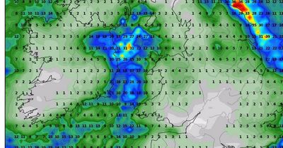 Met Eireann predicts subzero freeze for Dublin with 'sleet showers' possible