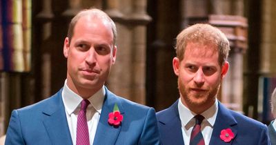 Prince William and Harry's rare show of unity as they pen joint letter in memory of pal