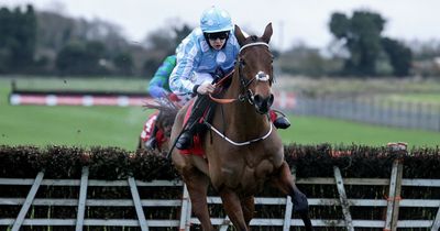 Fairyhouse horse racing betting tips as Honeysuckle aims for record fourth Hatton's Grace win