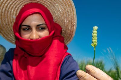 Jabal: the new wheat scientists say can withstand extreme heat and drought