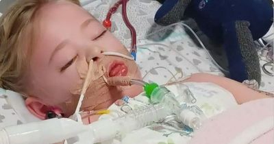 Dad won't leave hospital bed of daughter, 4, as she 'fights for life' with Strep A