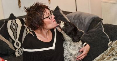 Woman living on £4 a month surviving on pancakes and may have to have dog put down