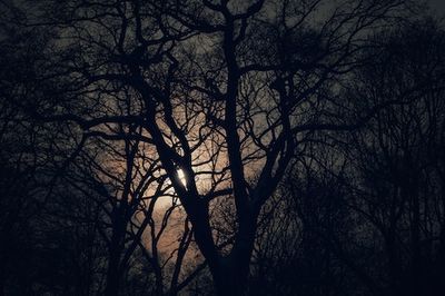 Cold Moon: You need to see the last Full Moon of the year this week