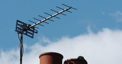 Campaigners urge Government to fight for traditional TV and radio signals