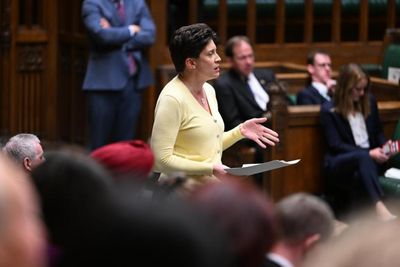 Alison Thewliss calls for 'unified' SNP team in bid for Westminster leader job