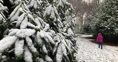 BBC Weather forecasts snow for Liverpool within days