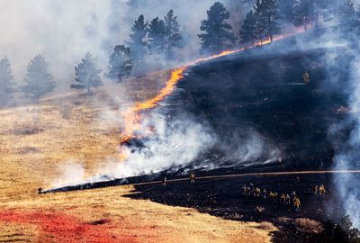 The cost of wildfires is rising