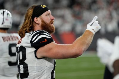 Bengals lose Hayden Hurst to injury vs. Chiefs in Week 13