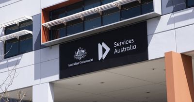Services Australia digital experience 'likely to get worse' with contractor cuts: Fletcher