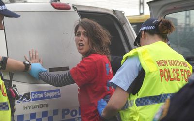 Premier ‘pleased’ with jail term for bridge protester