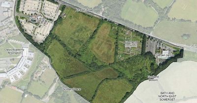 Two countryside sites on Bristol’s outskirts at risk of development in housing plan