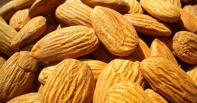 Scientists work out why a handful of almonds can help you lose weight