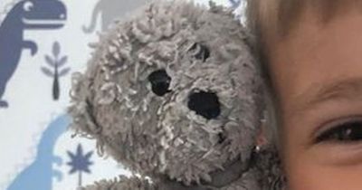 Belfast mum's plea for Christmas miracle to reunite autistic son with lost teddy bear