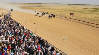 Champion horse trainer Todd Austin among three charged over Birdsville 'jigger' incident