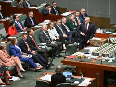 Labor admits to federal election mistakes