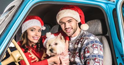Best motorway service stations for drivers travelling with their dogs this Christmas