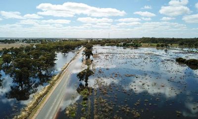 Locals call for rebuilding of bridges around flooded NSW town of Moulamein