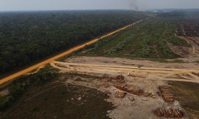 Lula faces stiff challenge to fulfil vow to reverse Amazon deforestation in Brazil