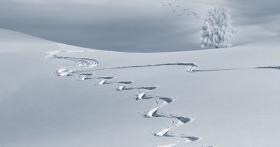 Met Office has its say on -8C Arctic blast reported, with heavy snow for some