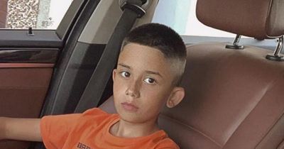 Woman arrested in connection with horror pitbull attack on boy in Wexford