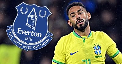 Matheus Cunha has shades of Everton cult hero but presents big transfer question