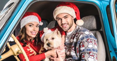 Best motorway service stations for drivers travelling with their dogs this Christmas