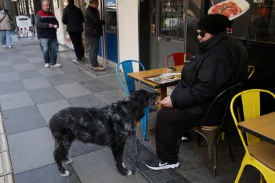 Turkish inflation eases for 1st time in more than a year