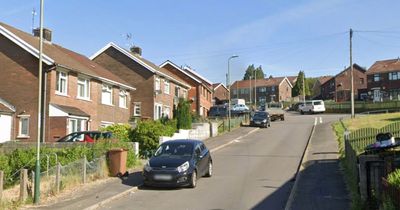 Woman, 83, fighting for her life after being savaged by dog in horror attack