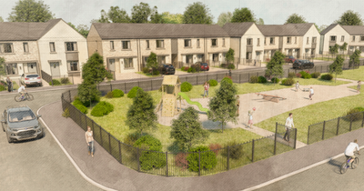 £20m Lisburn social housing scheme approved with wetland protection a key condition