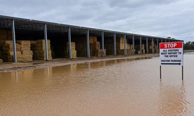 Hay shortages and price rises expected after flooding wipes out growing regions