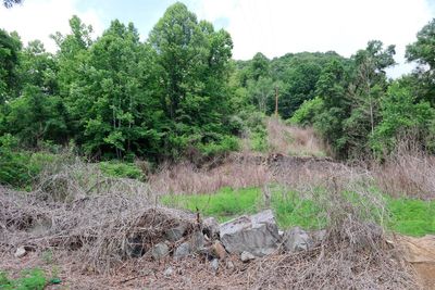 Unmarked graves, an 'ugly history': W.Va. weighs mine safety